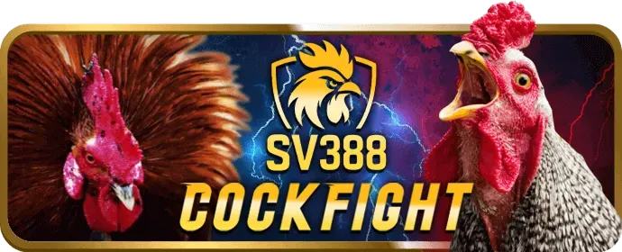 Hình ảnh đa dạng các trò chơi casino và thể thao